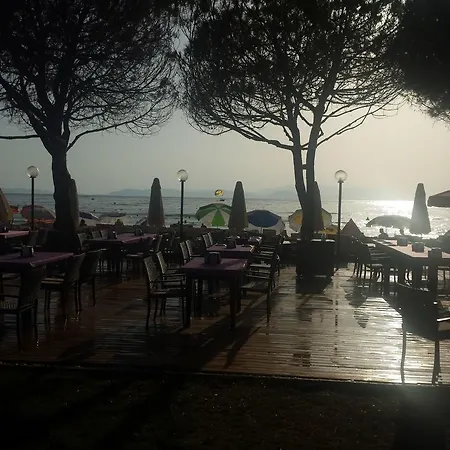 Catalina *